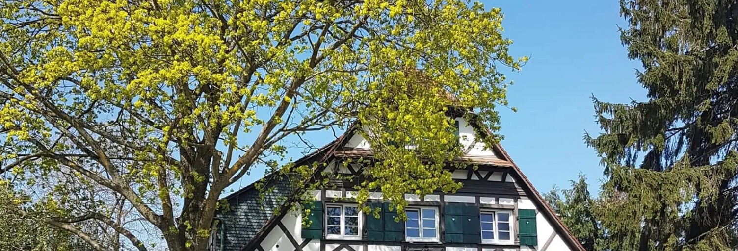 Maison 10 Pièces 327 m² à vendre à Gundershoffen (67110)