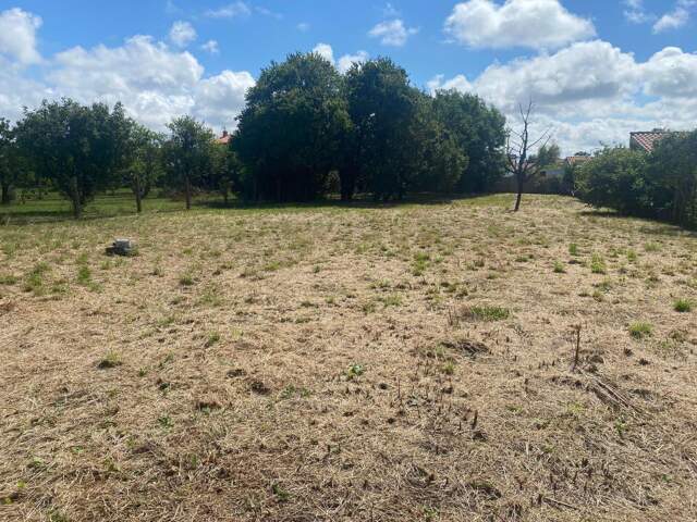 TERRAIN 1915M² A SAINT XANDRE — photo du bien