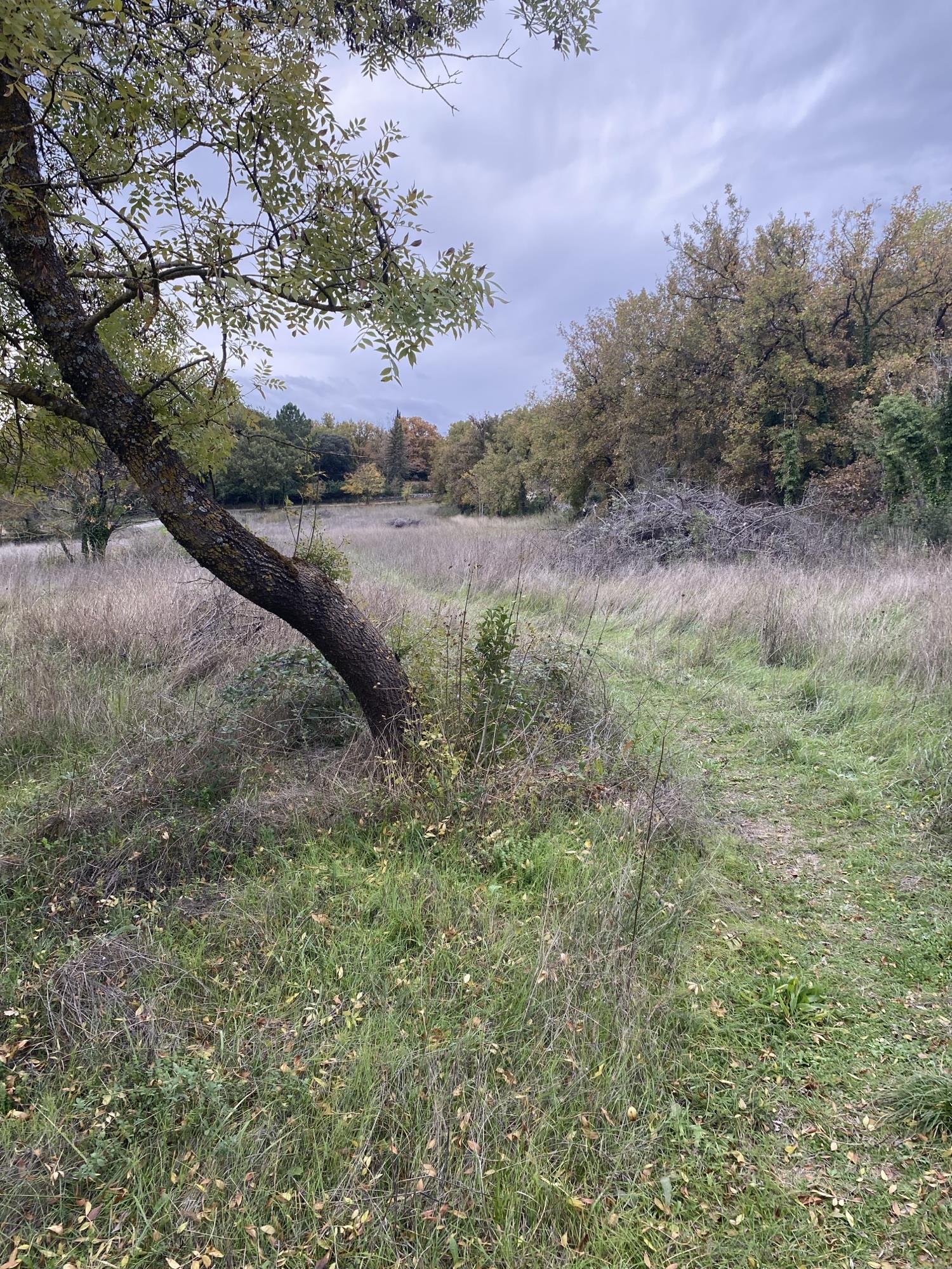 Terrain  à vendre Aups 83630