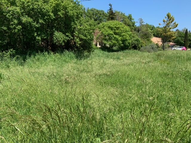 Terrain  à vendre Luc (Le) 83340