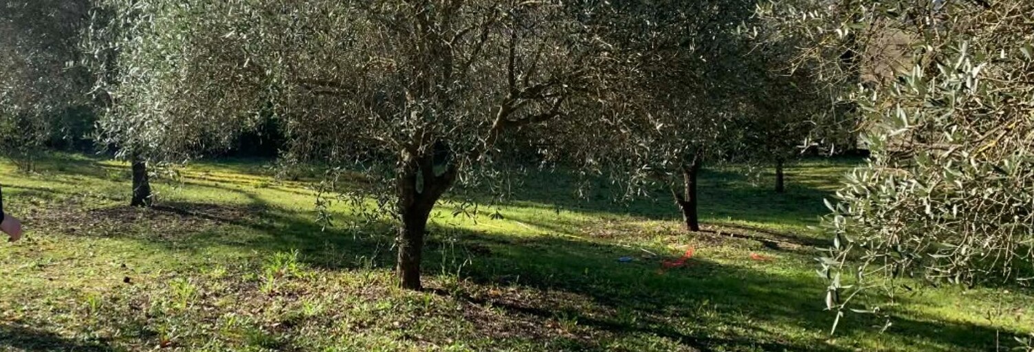 Terrain 725 m² à construire Brignoles (83170)