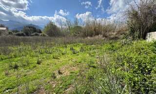 Terrain  990 m² à vendre à Speloncato (20226)