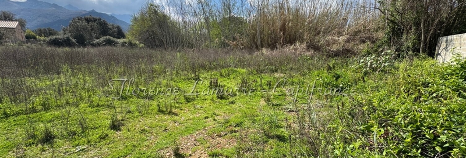 Terrain  990 m² à vendre à Speloncato (20226)