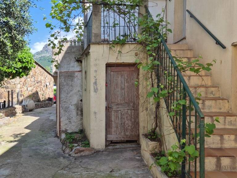 Maison à vendre 3 pièces CALENZANA (20) — photo 1