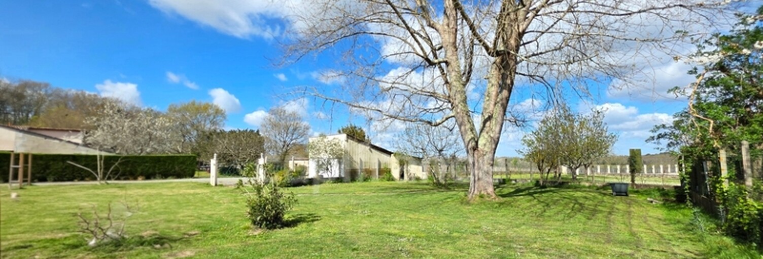 Maison 7 Pièces 187 m² à vendre à Villegouge (33141)