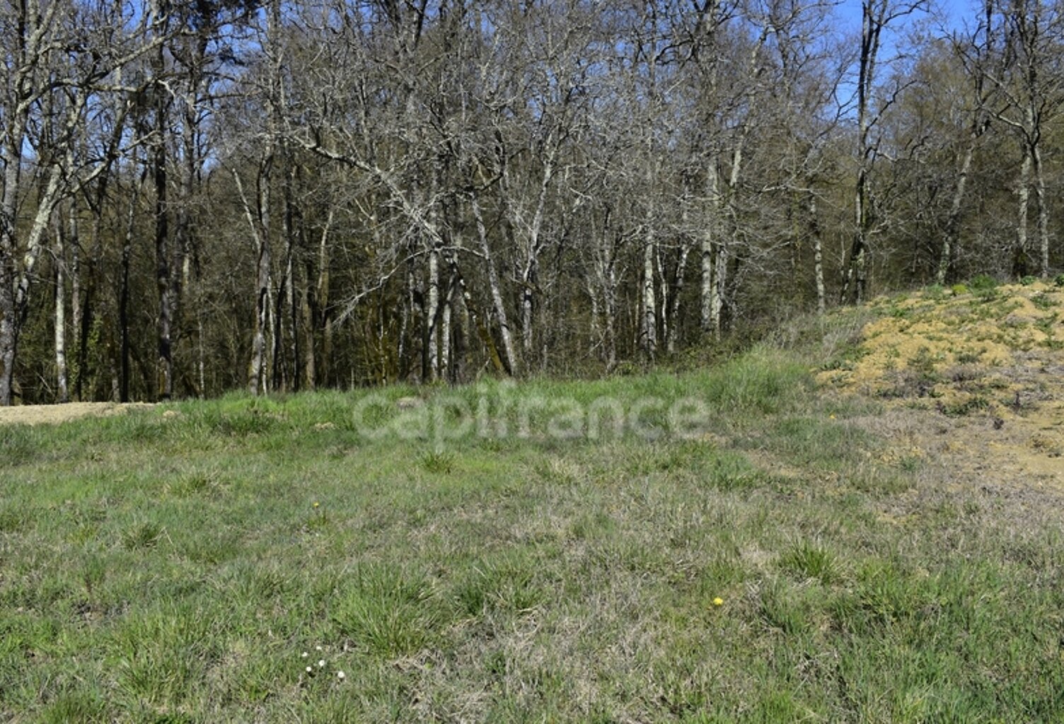 Terrain 1 300 m² à CURSAN (33) — photo 1