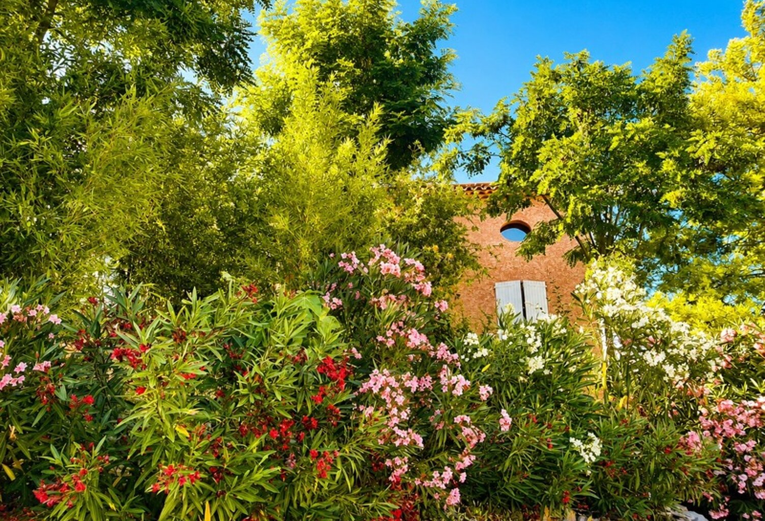Maison avec Piscine et vue dégagée + appartement 42m² — photo 1