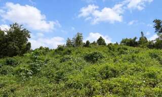 Terrain  865 m² à vendre à Les Abymes (97139)