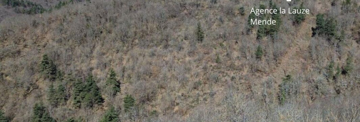 Terrain  2515 m² à vendre à Barjac (48000)