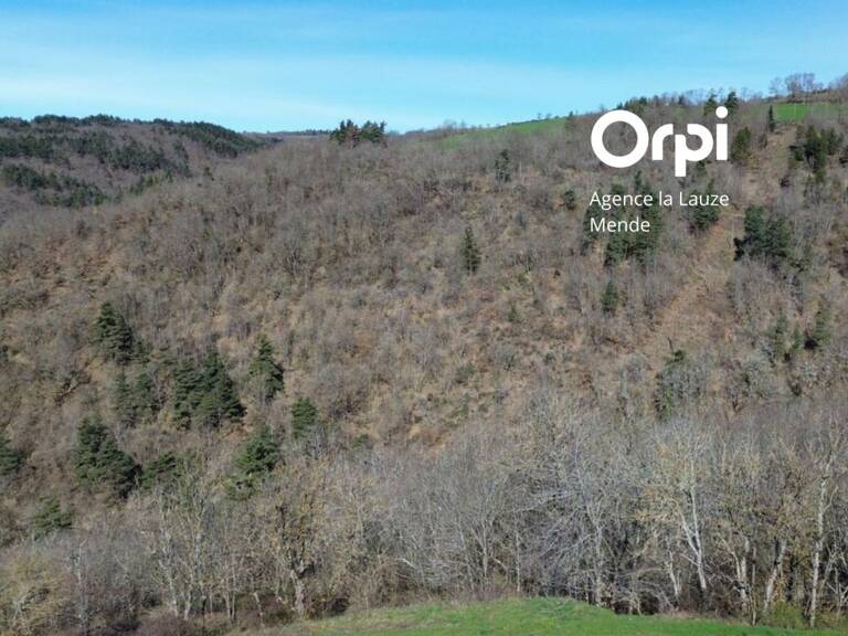 Terrain constructible avec vue dégagée — photo 1