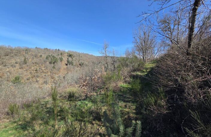Terrain constructible avec vue dégagée — photo 3