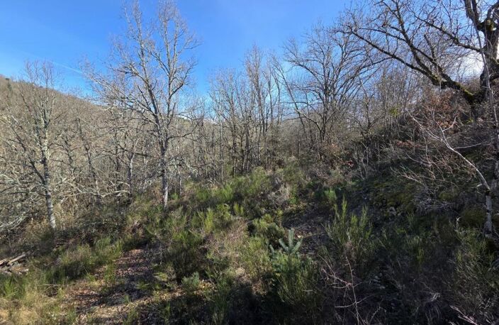 Terrain constructible avec vue dégagée — photo 4