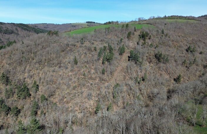Terrain constructible avec vue dégagée — photo 5
