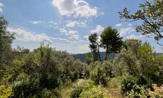 Terrain  3015 m² à vendre à Claviers (83830)