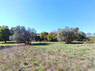 Draguignan - 2 Maisons et beaucoup de potentiel.. — photo 4