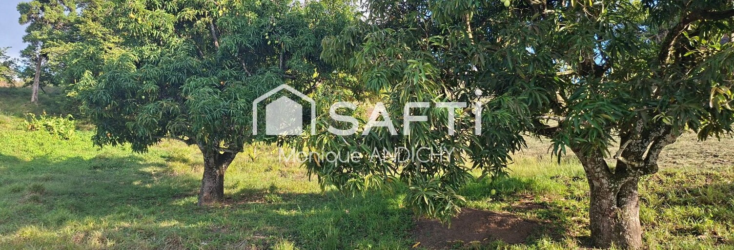 Terrain  566 m² à vendre à Sainte-Luce (97228)