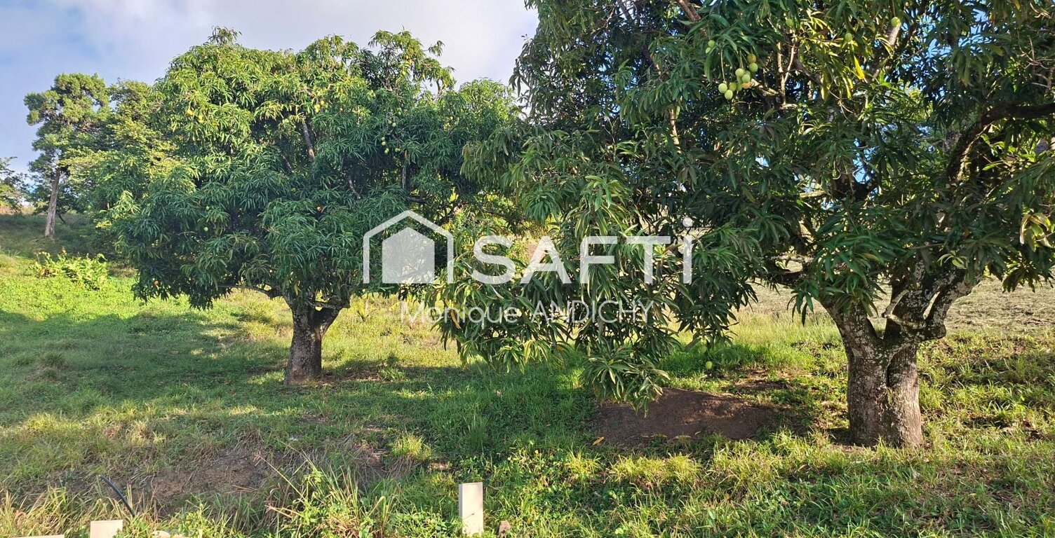 Terrain 566 m² en lotissement  Sainte-Luce — photo 1