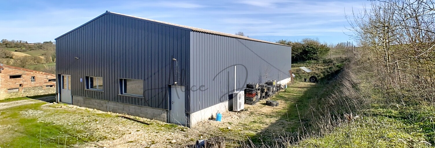 Maison 2 Pièces 300 m² à vendre à Falga (31540)