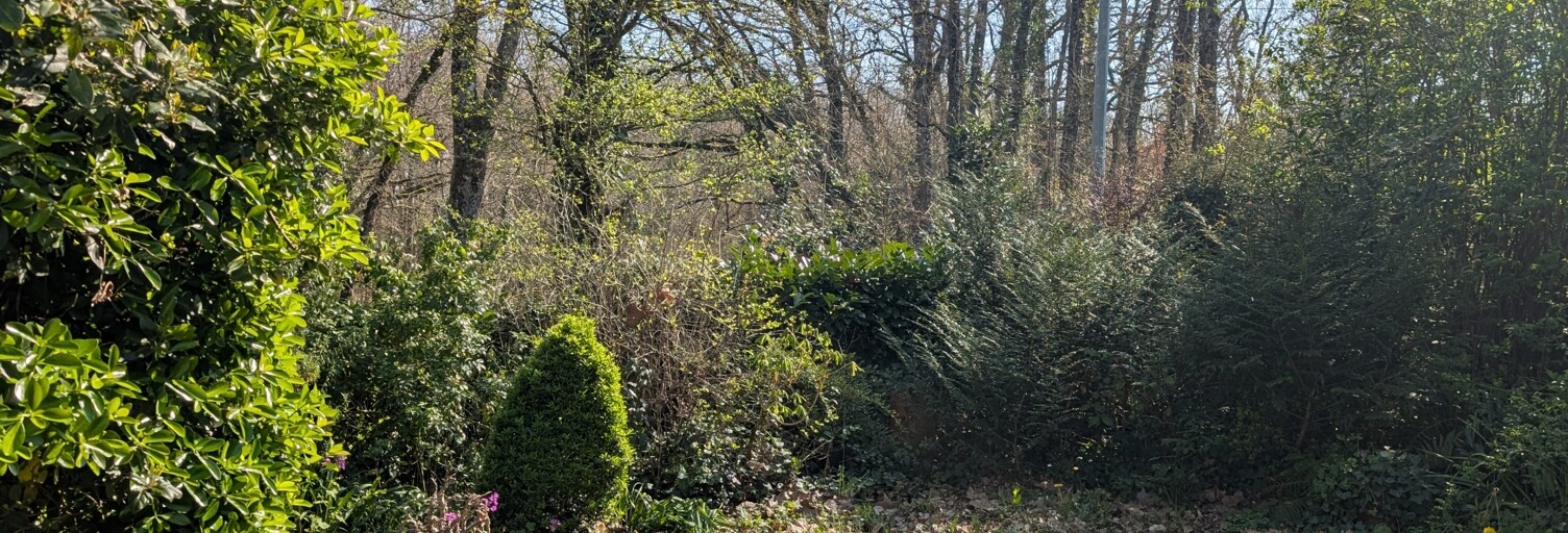 Maison 5 Pièces 141 m² à vendre à Fontenilles (31470)