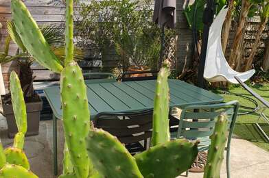 Maison 2 pièces 260000 €