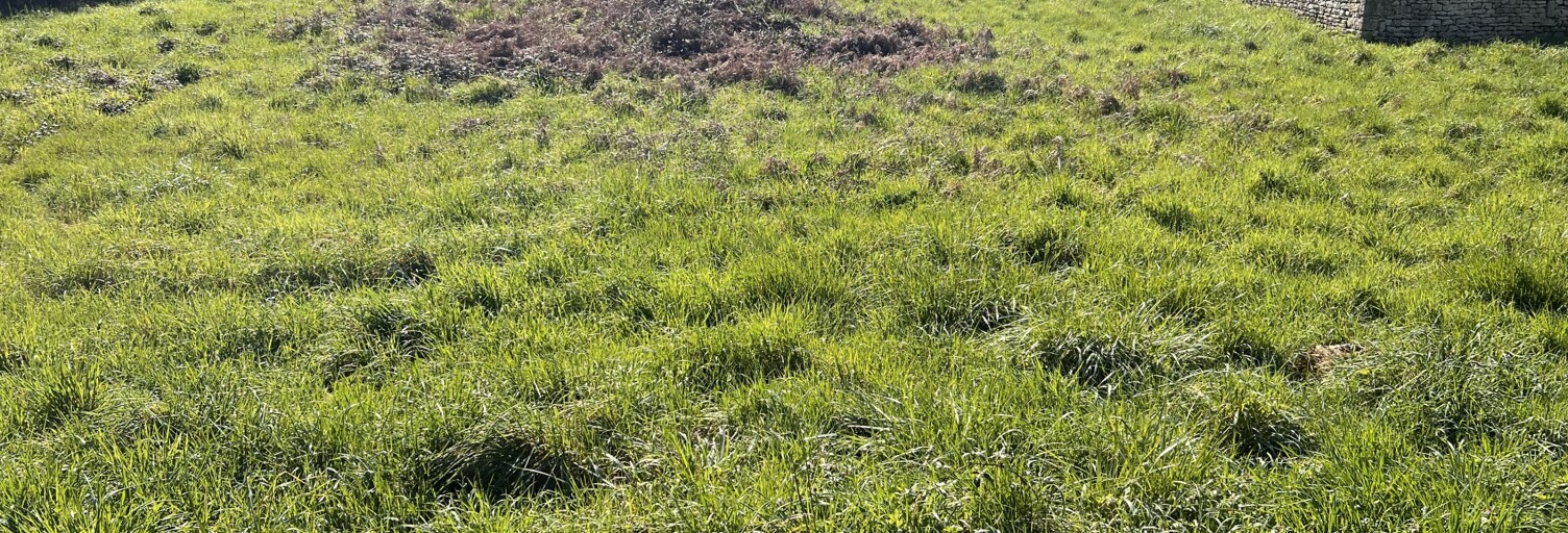 Terrain  2132 m² à vendre à Voulême (86400)