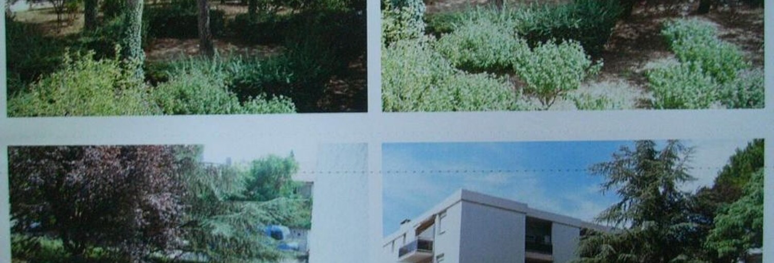 Appartement 1 Pièce 24 m² à louer à Montpellier (34000)