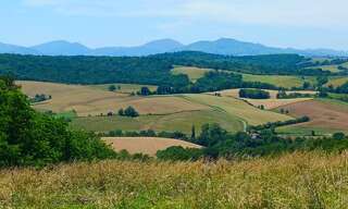 Terrain  50000 m² à vendre à Bidache (64520)