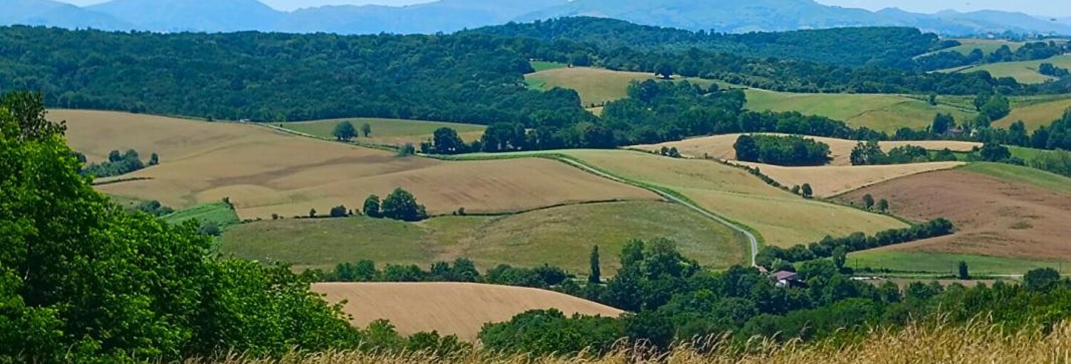 Terrain  50000 m² à vendre à Bidache (64520)