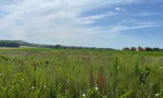 Terrain  3744 m² à vendre à Beaurains-lès-Noyon (60400)