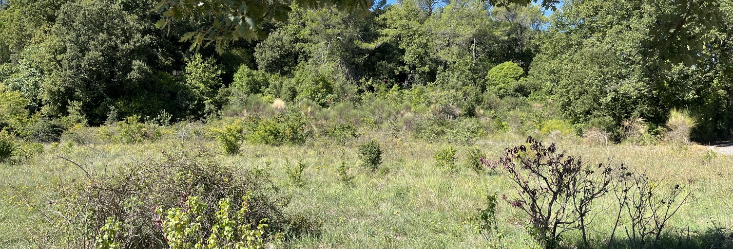 Terrain 1000 m² à construire La Roquebrussanne (83136)