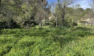 Terrain 1000 m² à construire Roquevaire (13360)