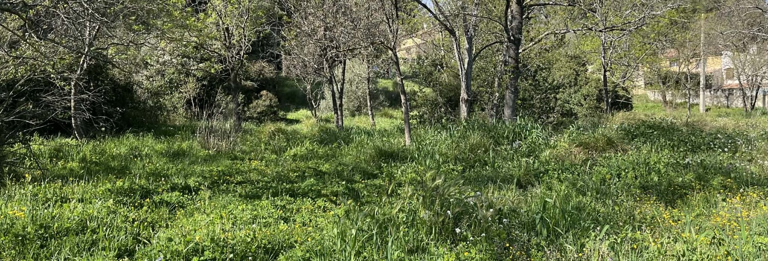 Terrain 1000 m² à construire Roquevaire (13360)