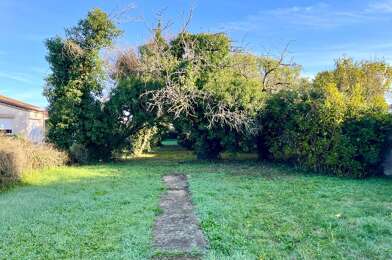 Terrain  163500 €
