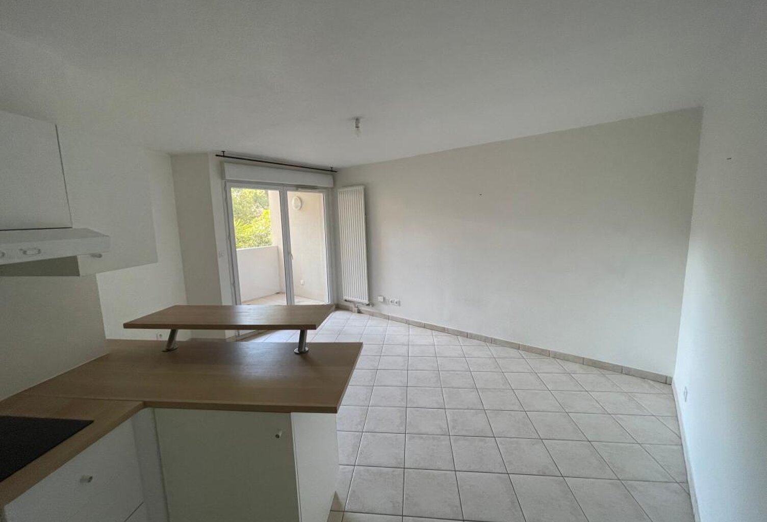 A VENDRE LA SEYNE SUR MER 83500 PORTE MARINE APPARTEMENT 2 PIECES TERRASSE ASCENSEUR VUE DEGAGEE VENDU LOUE — photo 1