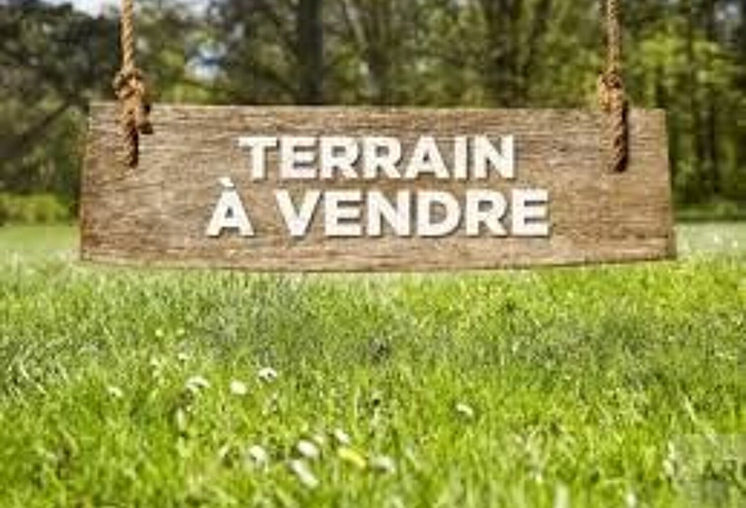 Beau terrain de 1000 m² — photo 1