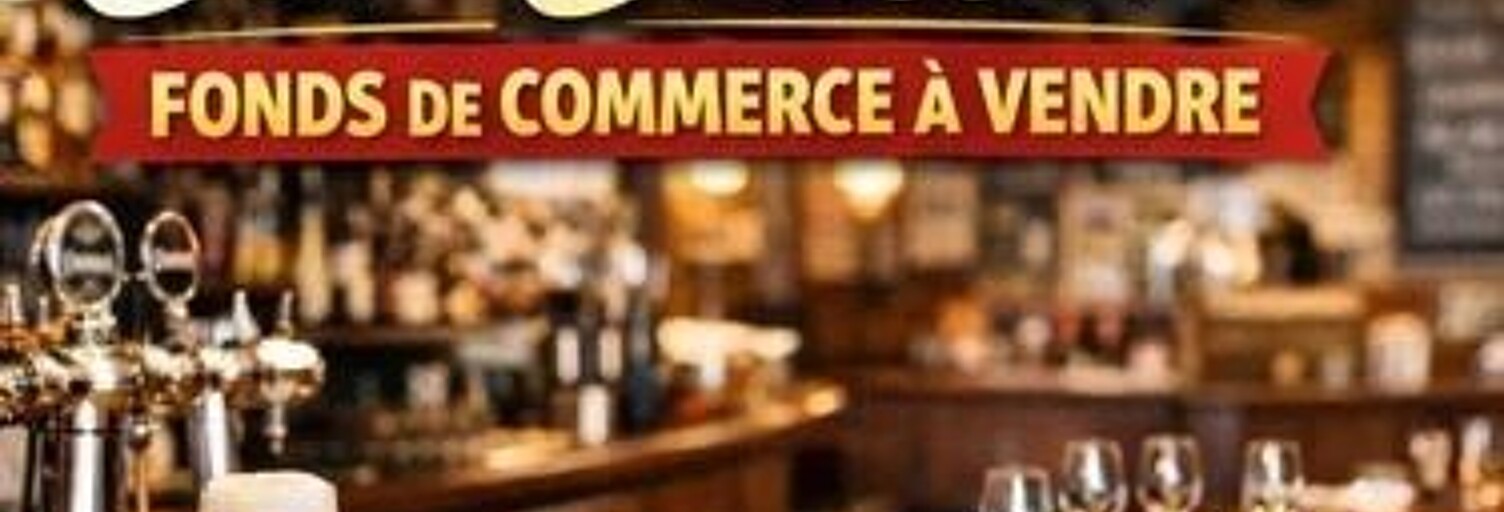 Commerce  128 m² à vendre à Romorantin-Lanthenay (41200)