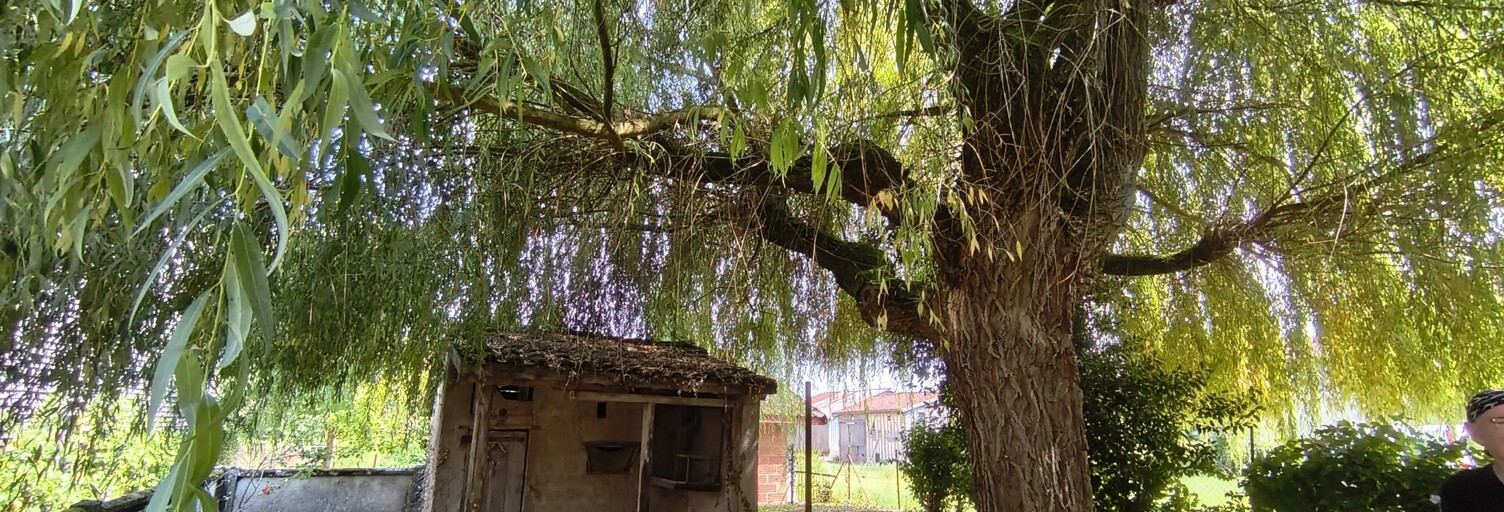 Maison 4 Pièces 110 m² à vendre à Chavanges (10330)