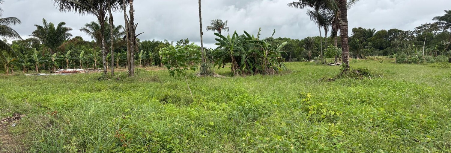 Terrain  10 m² à vendre à Macouria (97355)