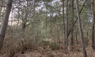 Terrain  5213 m² à vendre à Yvré-le-Pôlin (72330)