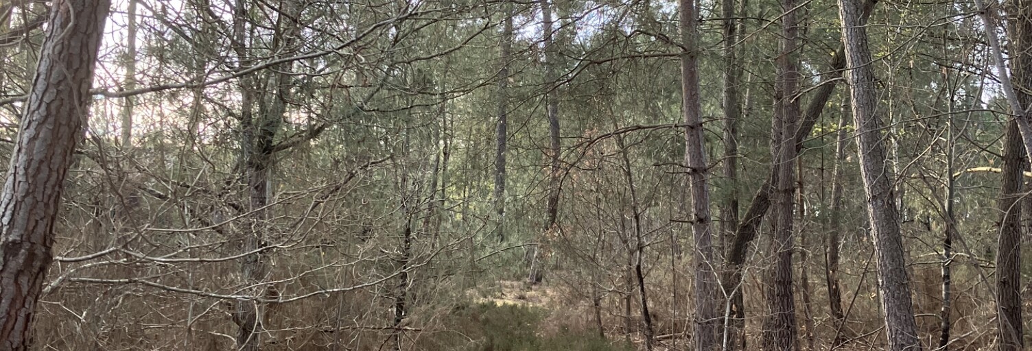 Terrain  5213 m² à vendre à Yvré-le-Pôlin (72330)