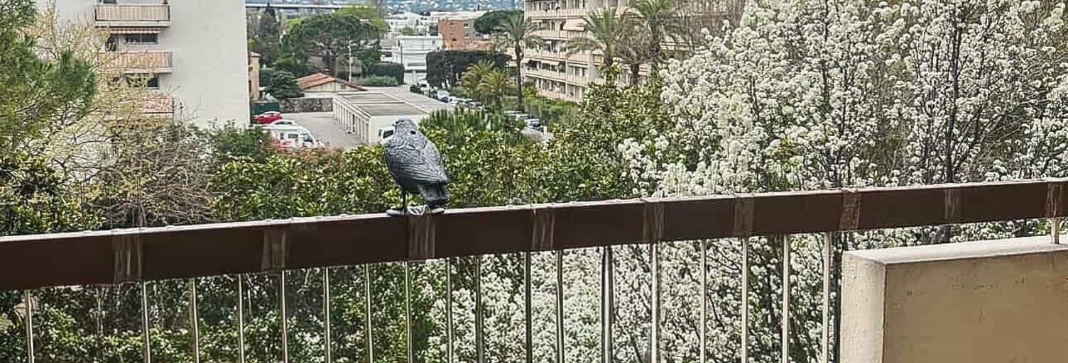 Appartement 4 Pièces 69 m² à vendre à Cannes (06150)