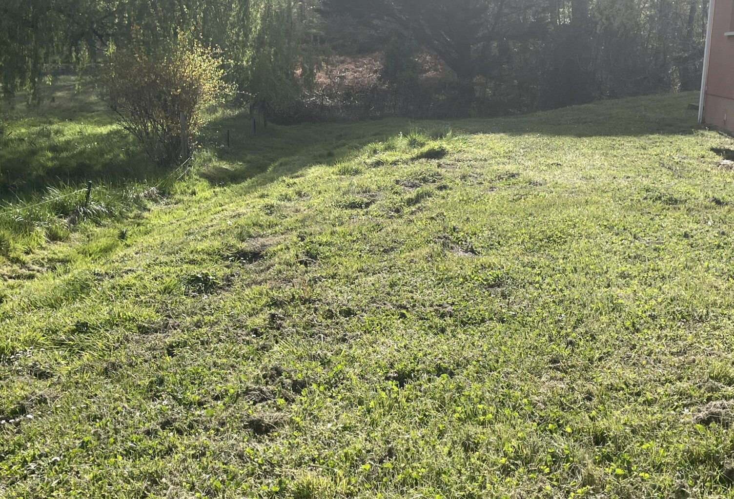 Terrain à bâtir LA BREDE Centre — photo 1