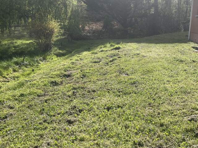 Terrain à bâtir LA BREDE Centre — photo du bien