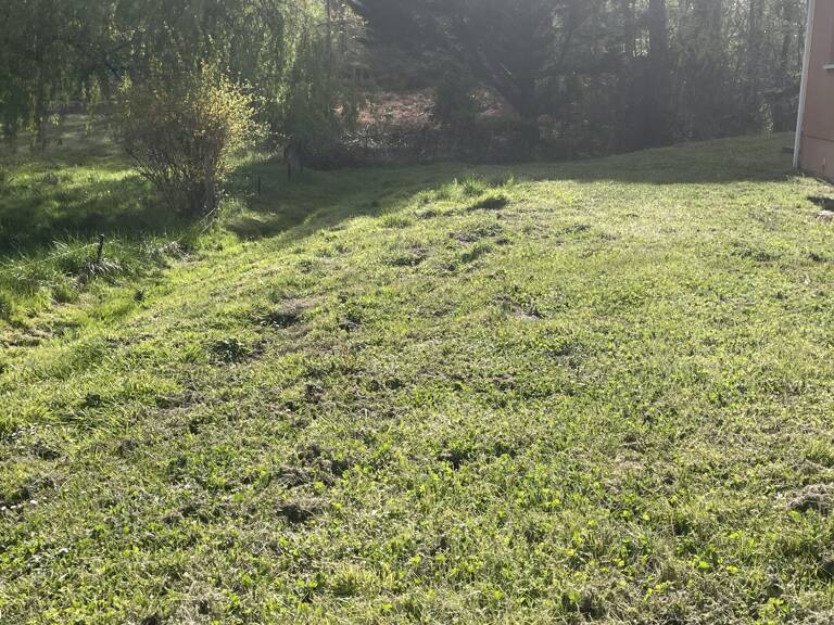 Terrain à bâtir LA BREDE Centre — photo 1