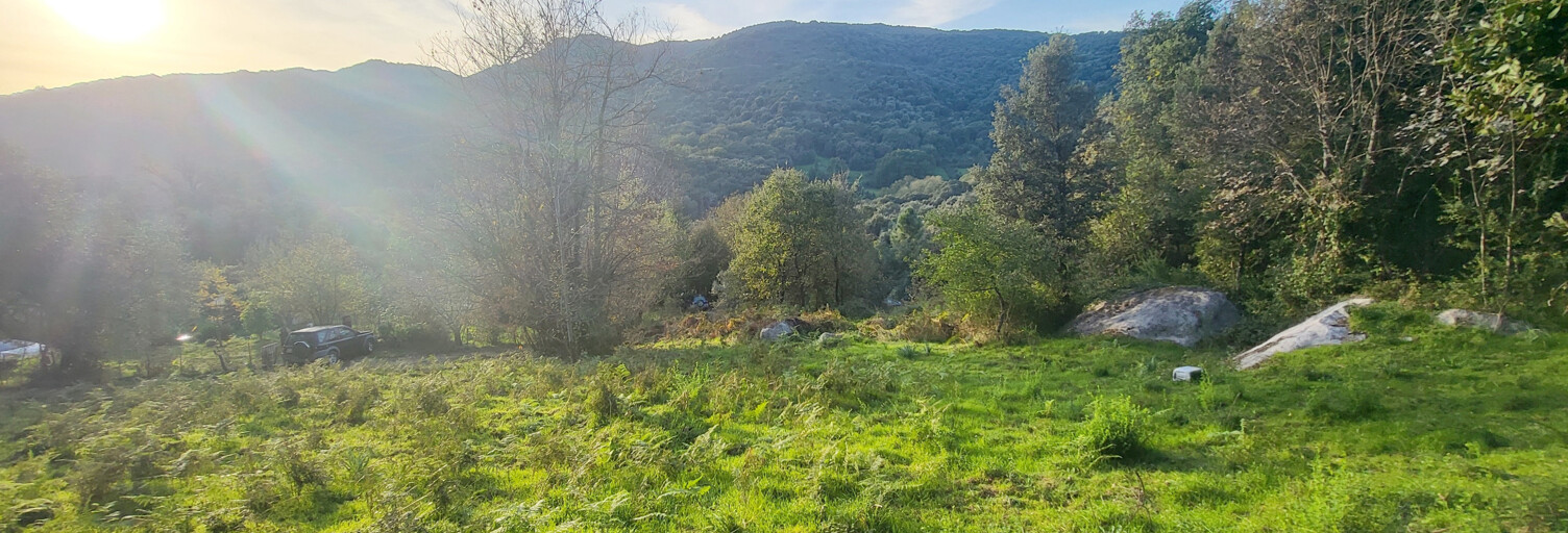 Terrain  1500 m² à vendre à Forciolo (20190)