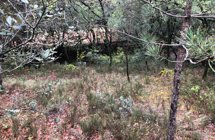 Terrain à vendre  SAINT SATURNIN LES APT (84) - Libre de constructeur — photo 3