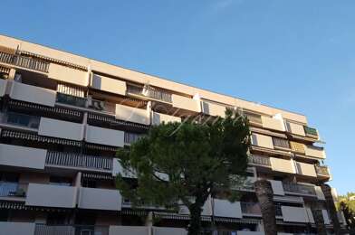 Appartement 3 pièces 1001 €