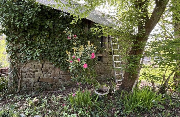 Maison — photo 3