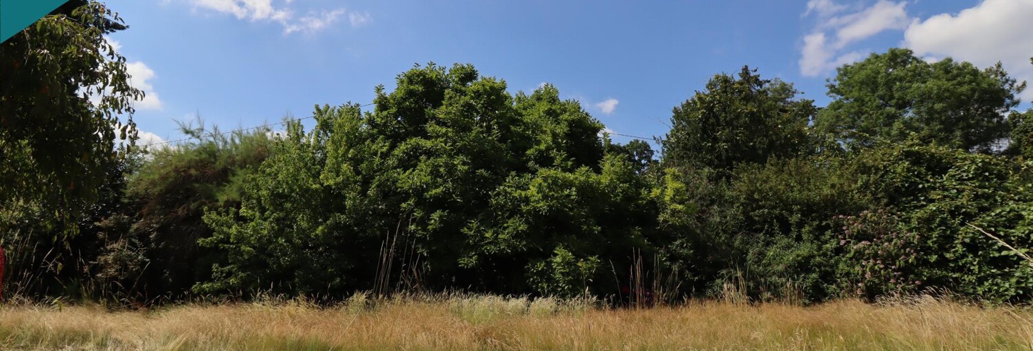 Terrain  880 m² à vendre à Bruyères-le-Châtel (91680)