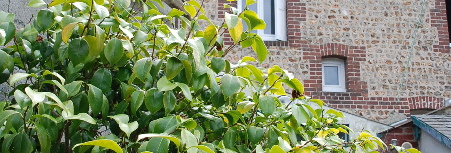 Maison 3 Pièces 52 m² à vendre à Fécamp (76400)